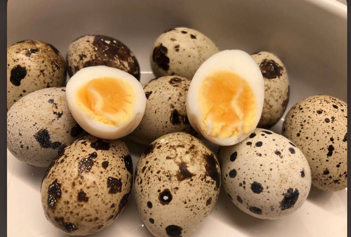 Quail Eggs from Vizik Farm Market