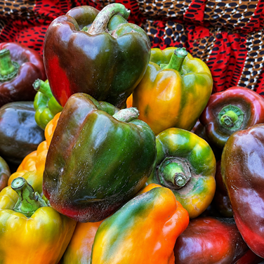 Organic Bell Pepper from Vizik Farm Market